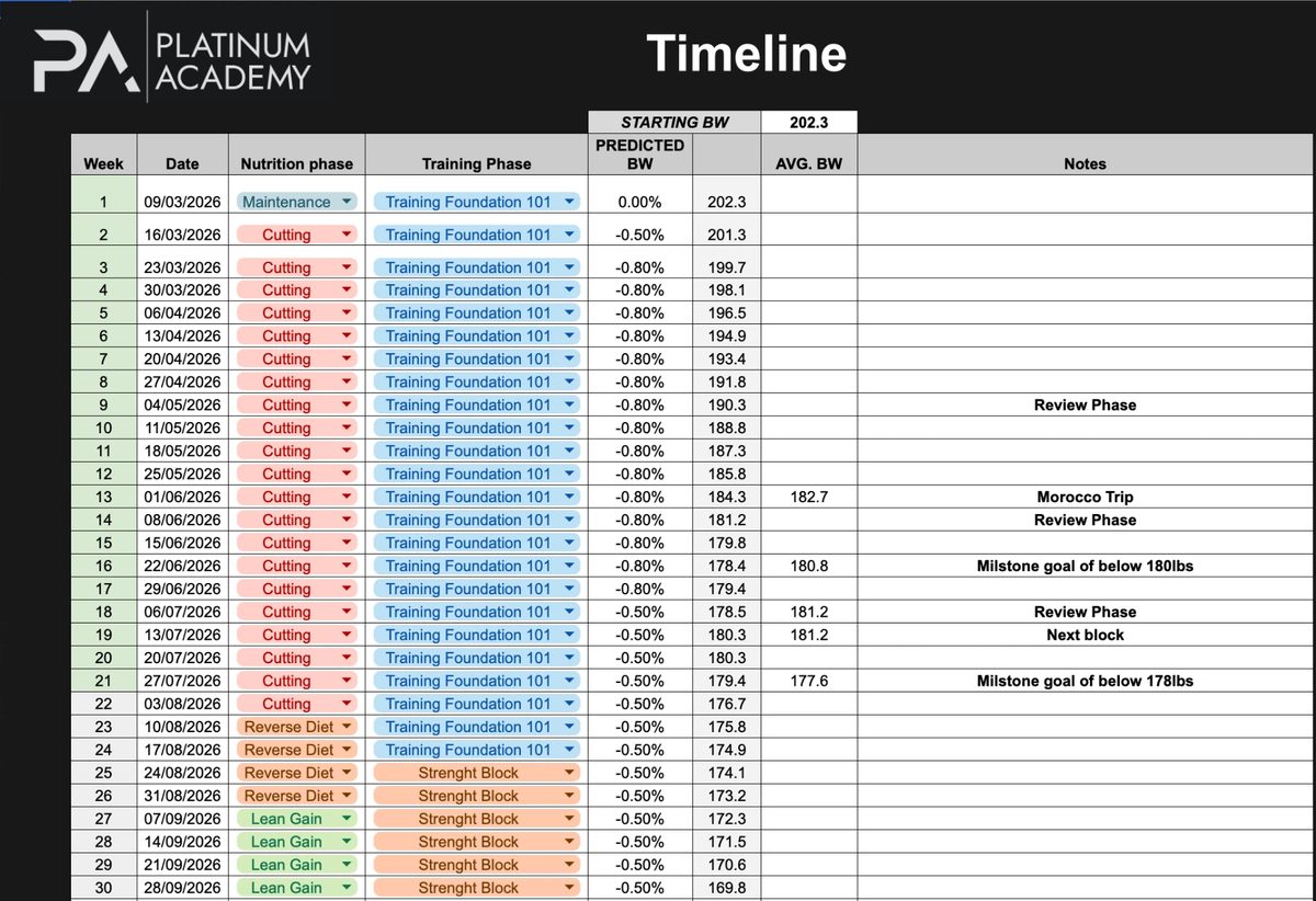 A real client roadmap spreadsheet: 30 weeks mapped from maintenance into cutting, then reverse diet, then lean gain, with predicted bodyweight, review phases, a Morocco trip and milestone goals